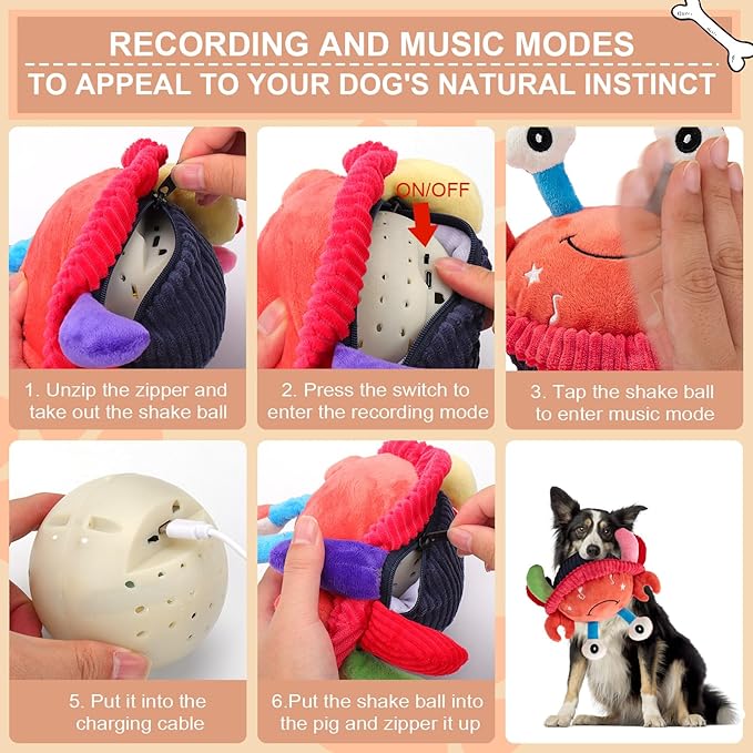 BABORUI Interactive Dog Toys Crab, Jumping Squeaky Dog Toys - Image 6