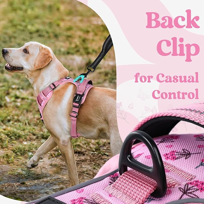 rabbitgoo Dog Harness for Large, No Pull Easy On & Off - Image 6