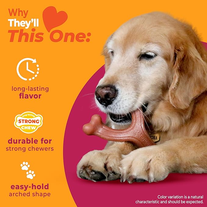 Nylabone Strong Chew Wishbone Dog Toy Made - Image 3