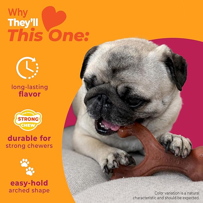 Nylabone Strong Chew Wishbone Dog Toy Made - Image 3