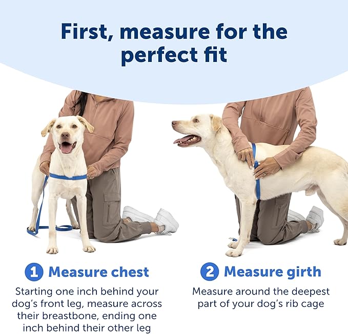 PetSafe Easy Walk No-Pull Dog Harness - Image 5