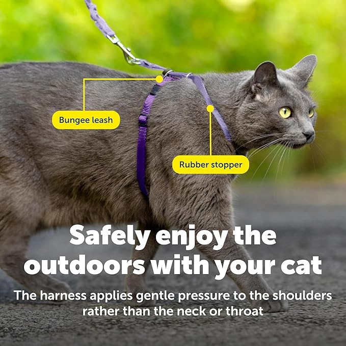 PetSafe Come with Me Kitty Harness and Bungee Leash Adjustable, Lightweight - Image 6