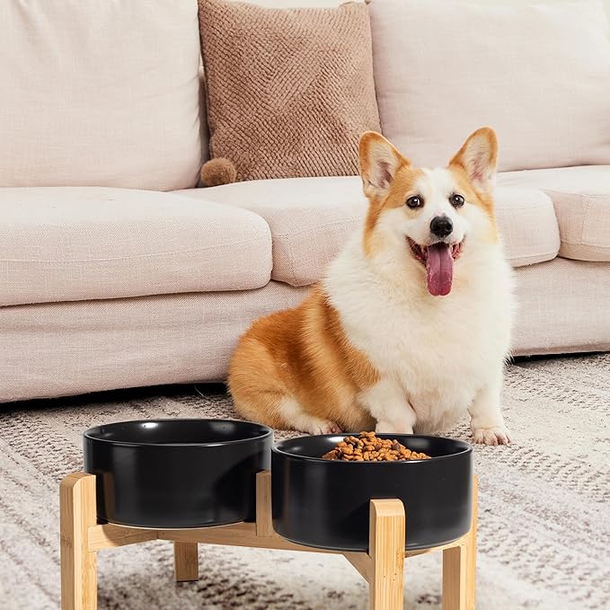 Elevated Ceramic Dog Bowl Set - Image 6