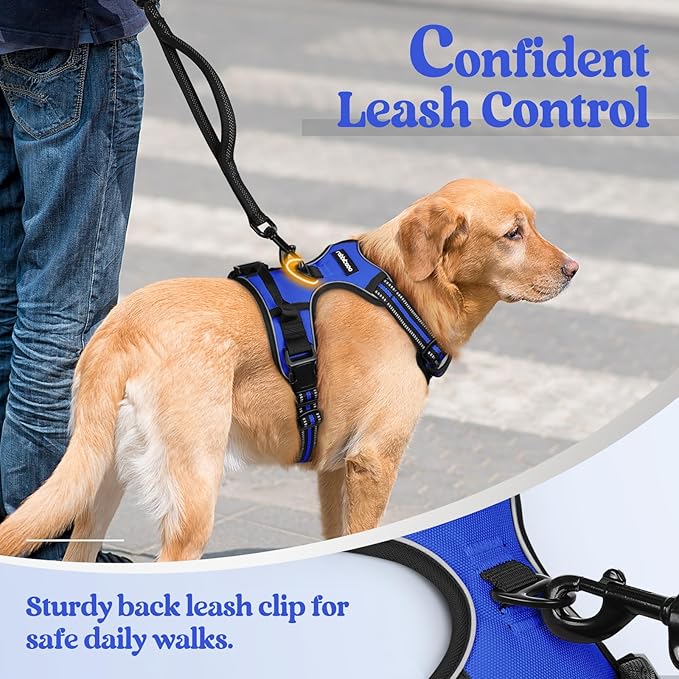 rabbitgoo Dog Harness No Pull - Image 6