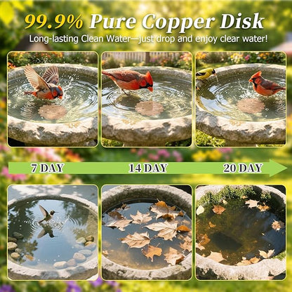 Bird Bath Copper Disk - Image 2