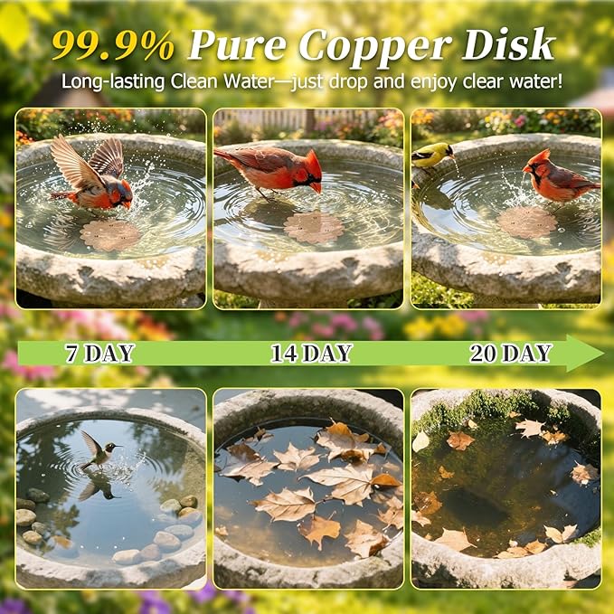 Bird Bath Copper Disk - Image 2