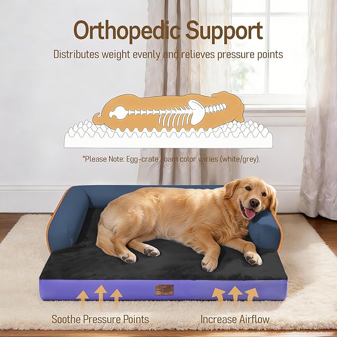 Comfort Expression Memory Foam Dog Bed Large Sized Dogs - Image 2