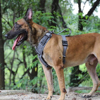 ICEFANG Dog Strap Harness with 4 x Metal Buckles, - Image 2