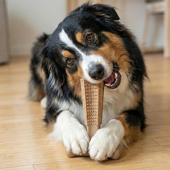 SPOT Bam-Bones Plus T-Bone Dog Chew Toy, Bamboo Fiber & Nylon, Chicken Flavor - Image 15