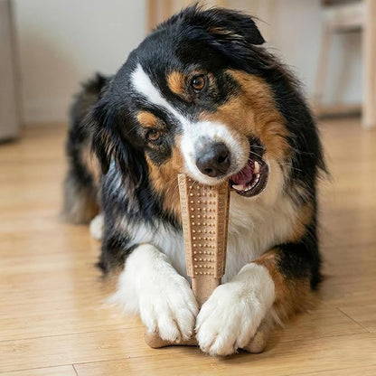 SPOT Bam-Bones Plus T-Bone Dog Chew Toy, Bamboo Fiber & Nylon, Chicken Flavor - Image 15