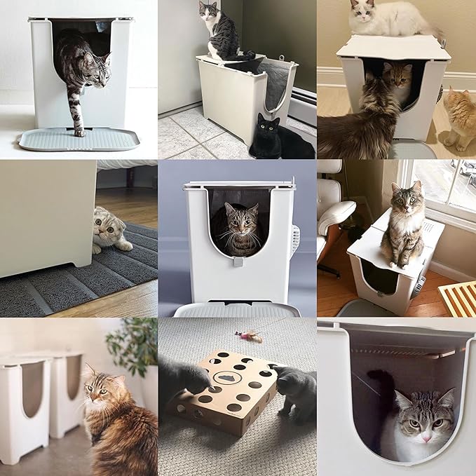 Modkat Flip Litter Box with Lid - Image 7