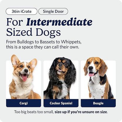MidWest Homes for Pets 36-Inch iCrate for Medium-Large Breeds, 41-70 lbs - Image 2