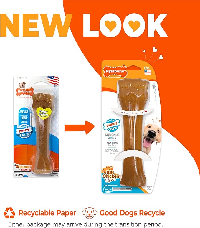 Nylabone Puppy Chew Knuckle Bone - Image 3