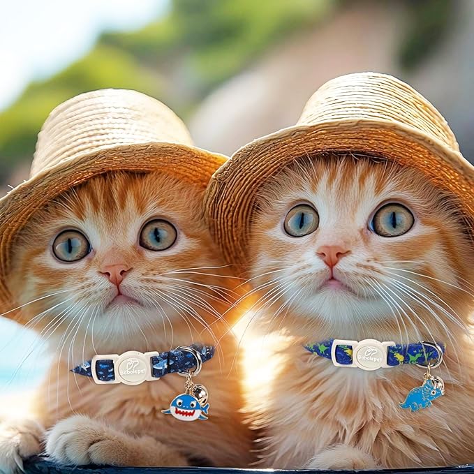 2 Pack Boy Cat Collars - Image 2