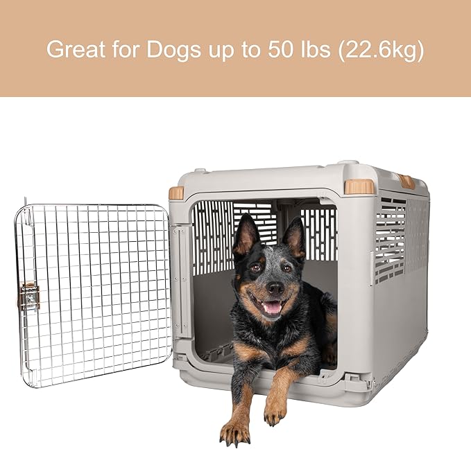 SportPet Designs Collapsible Medium Pet Travel Carrier, Hard-Sided Kennel - Image 4