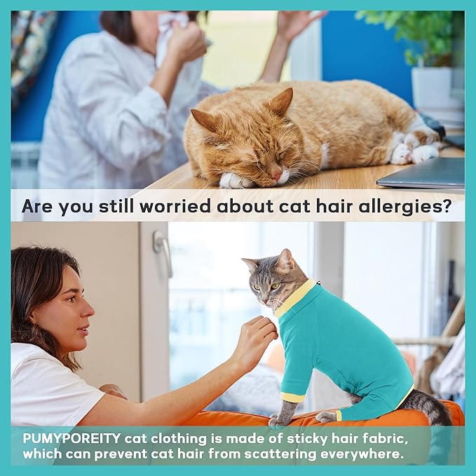 PUMYPOREITY Cat Recovery Sweater - Image 2