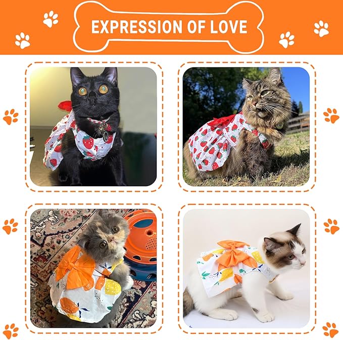 TAPBULL Dog Dresses, Fashionable Pet Dog Clothes, Cute Cat Birthday Dress Outfit - Image 6
