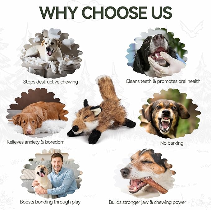 ALL FOR PAWS Squeaky Doy Toy, Fox Dog Toy for Small Medium Breed, Puppy Fetch - Image 7