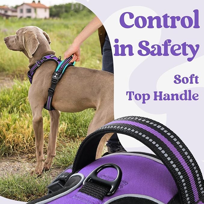 rabbitgoo Dog Harness Medium Sized, No Pull Easy On & Off - Image 5