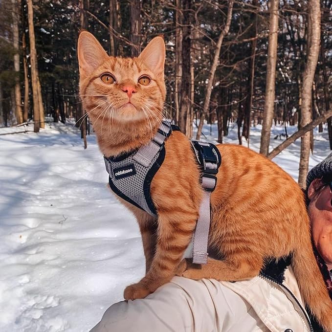 rabbitgoo Cat Harness and Leash - Image 9