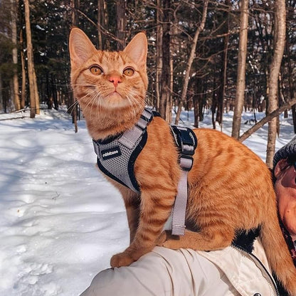 rabbitgoo Cat Harness and Leash Set, Escape Proof Kitten Harness - Image 9