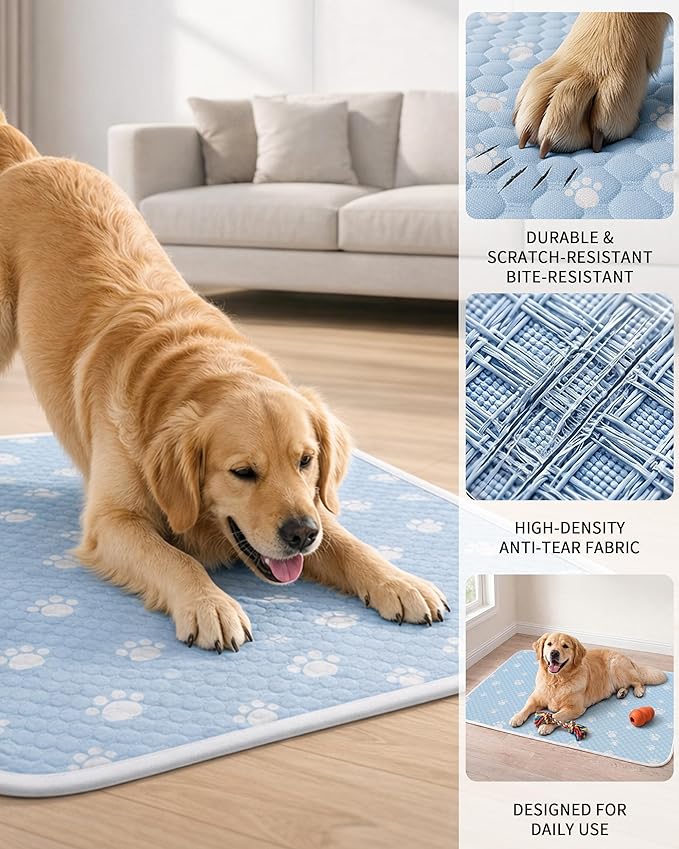 BWX Cooling Mat for Dogs - Image 4