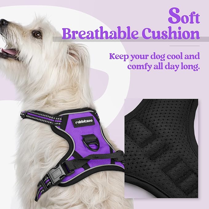 rabbitgoo Dog Harness No Pull - Image 2