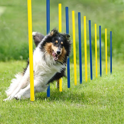 Pet Prime Dog Agility Training Equipment by PetPrime