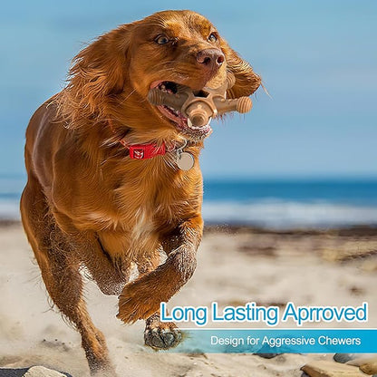 PETSTA Dog Chew Toys for Aggressive Chewers, Durable Dog Toys for Large Dogs - Image 7