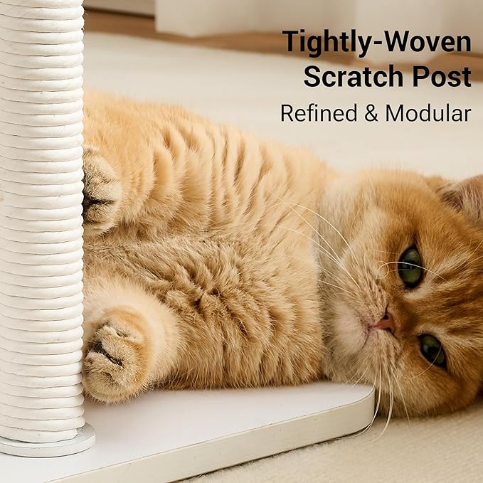 Modern Cat Tree Tower for Indoor Cats up to 12lbs, Wood Cat Bed - Image 6