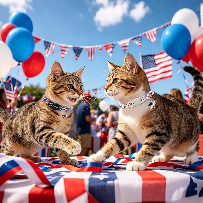 2 Pack Independence Kitten Collar Breakaway - Image 5