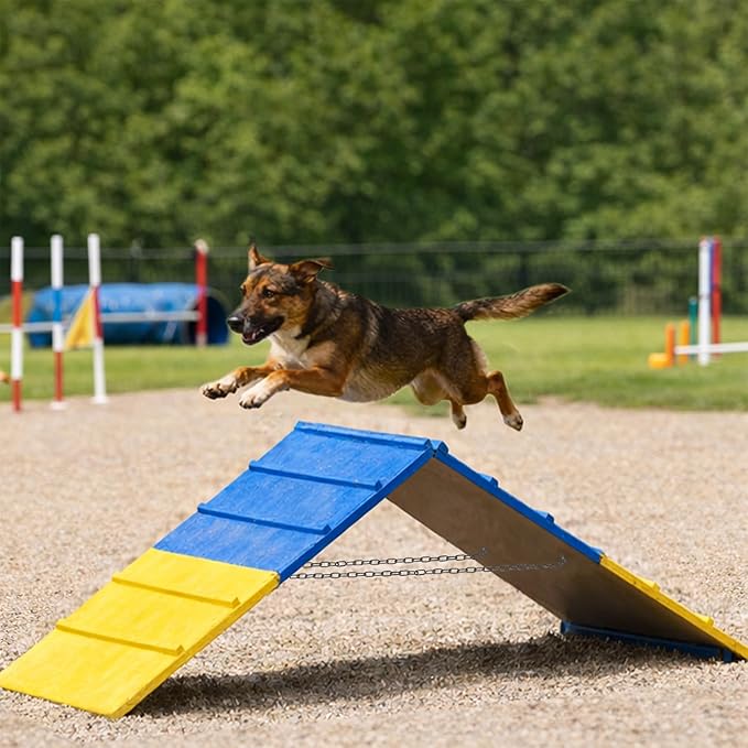 Dog Agility A Frame for Large Dogs, 82” x 23” Dog Agility Course Backyard Set - Image 5