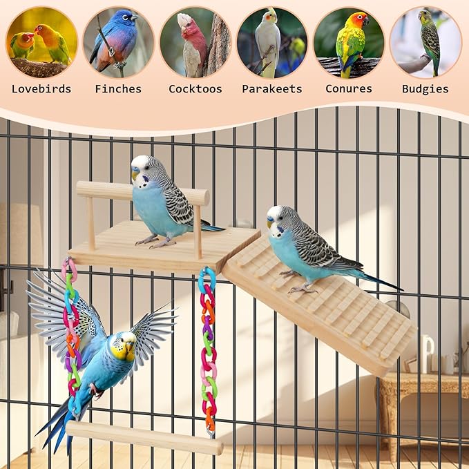 Bird Perches Platform Swing - Image 3