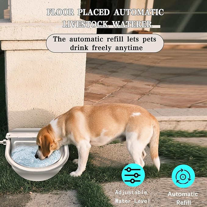 Automatic Dog Water Dispenser - Image 5