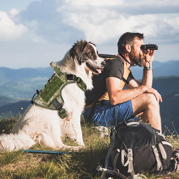 WINGOIN Tactical Dog Harness for Extra Large Dogs, Heavy Duty No Pull Dog - Image 5