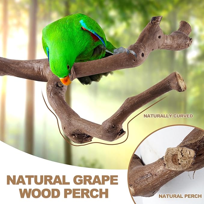 LIMIO 6-Piece Bird Perch Set - Image 2