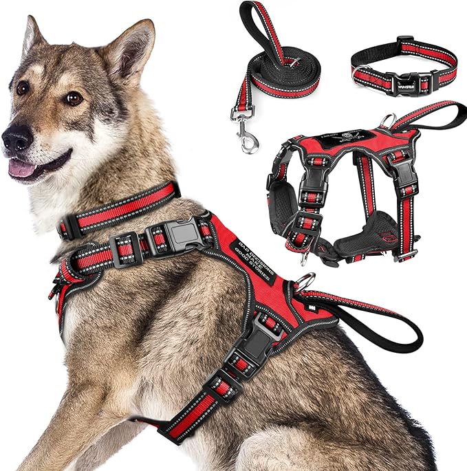 WINSEE Pet Harness Collar and Leash Set, All-in-one Reflective Dog Harness No by WINSEE