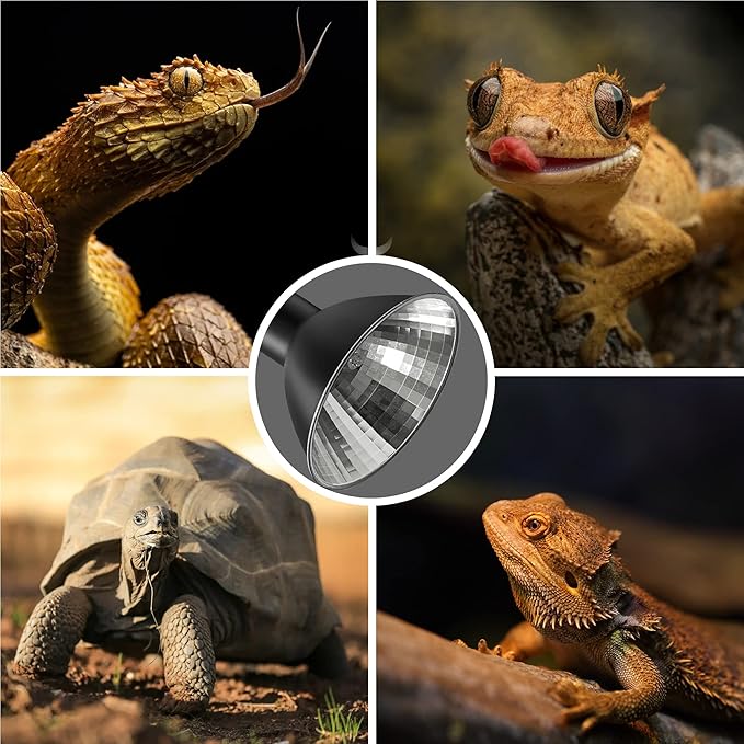 Briignite Reptile Heat Lamp Red, 50W G9 Heat Bulb & Dome Reptile Light Fixture - Image 7