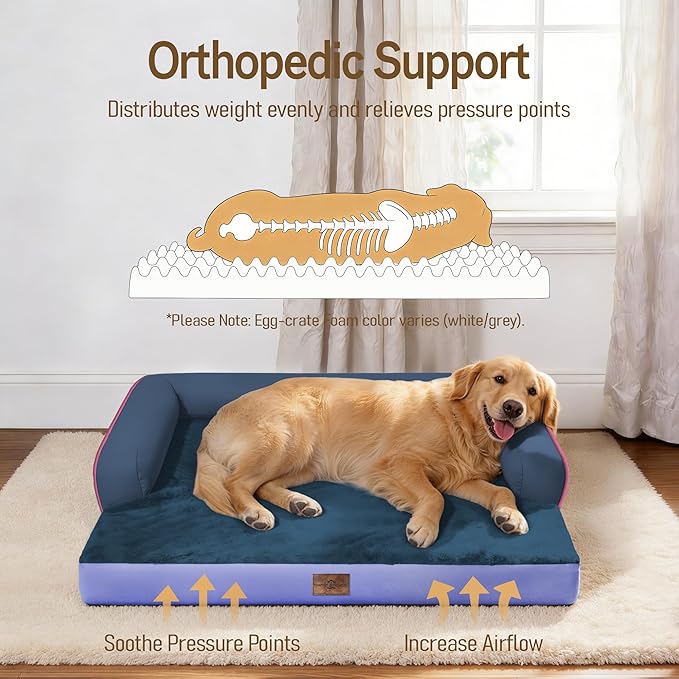 Comfort Expression Memory Foam Dog Bed - Image 2
