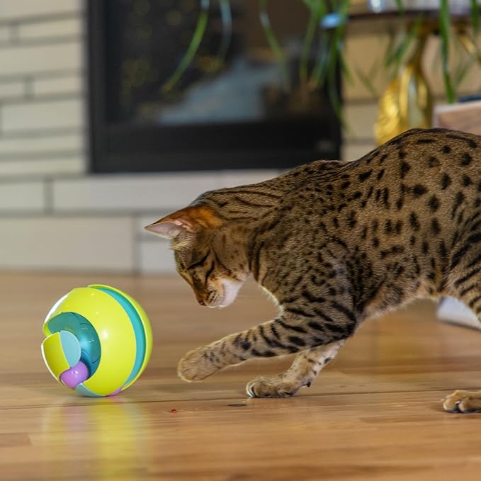 Catstages Twist-A-Ball 3-in-1 Convertible Cat Track Toy, Rolling Ball Toy - Image 7