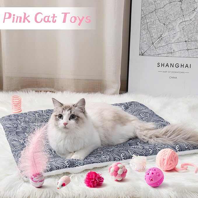 MALLMALL6 10Pcs Cat Toy Set Interactive Cat Toys Pack Including Feather Teaser - Image 6