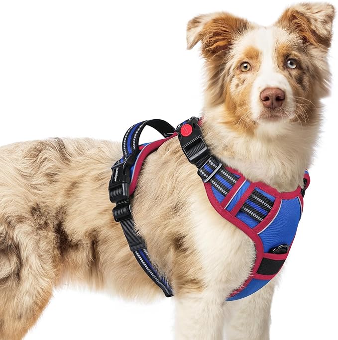 rabbitgoo Dog Harness Medium Sized, No Pull Easy On & Off by rabbitgoo