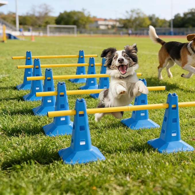 Dog Agility Hurdle Cone Set, Dog Agility Course Backyard Set - Image 7