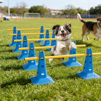 Dog Agility Hurdle Cone Set, Dog Agility Course Backyard Set - Image 7