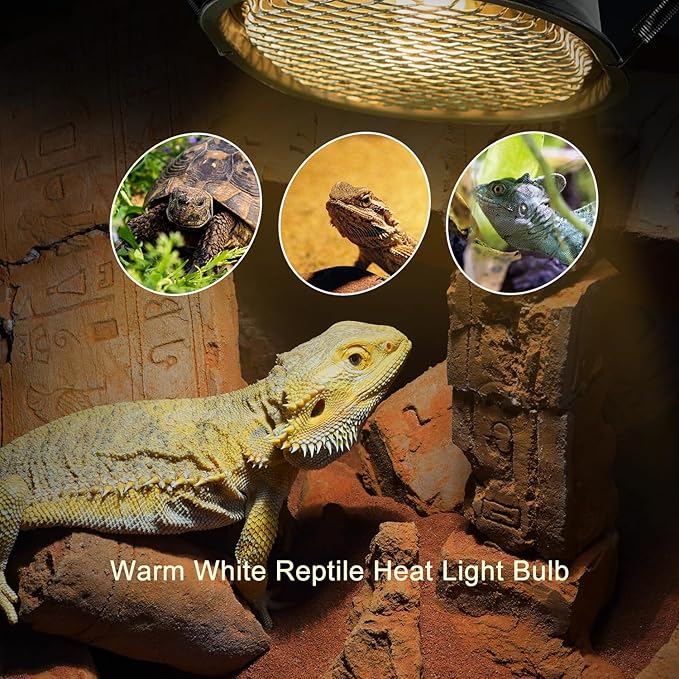 G9 Reptile Heat Lamp Bulb and Light Fixture - Image 3