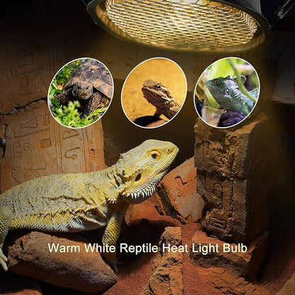 G9 Reptile Heat Lamp Bulb and Light Fixture - Image 3