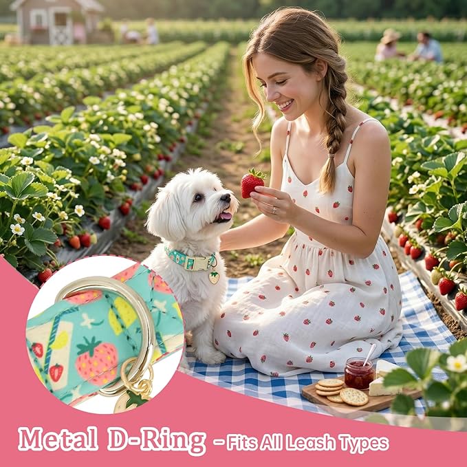 Cute Summer Dog Collar with Strawberry Lemon Pattern, Soft Cotton Girl Dog - Image 4
