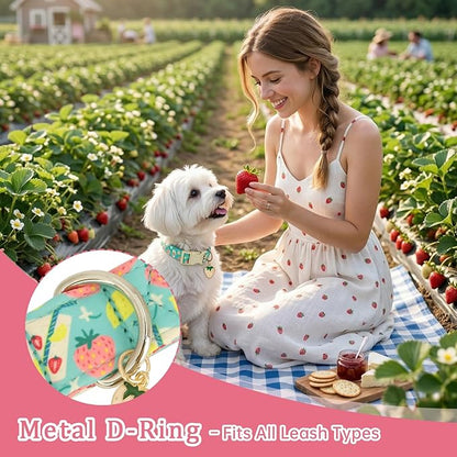 Cute Summer Dog Collar with Strawberry Lemon Pattern, Soft Cotton Girl Dog - Image 4
