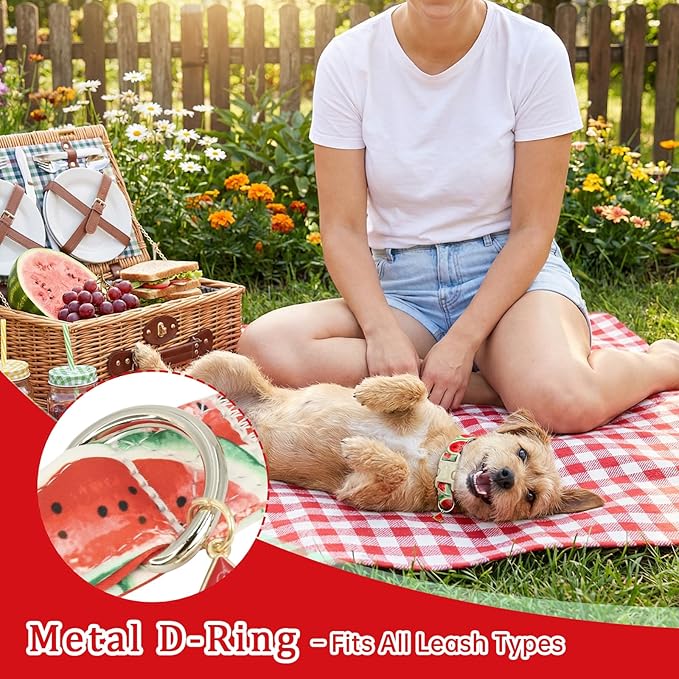 Summer Dog Collar with Watermelon, Adjustable Cotton Puppy Collars - Image 5