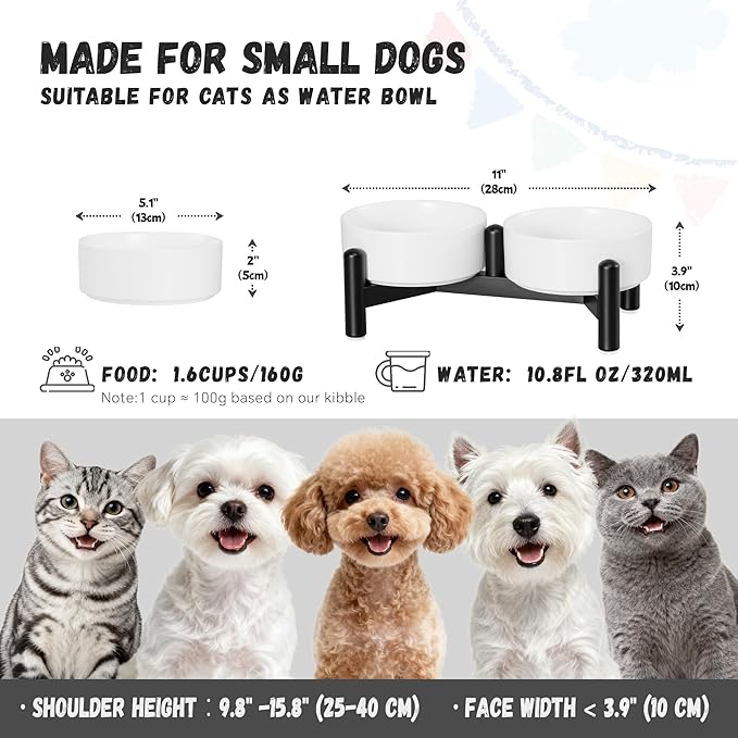Raised Ceramic Dog Bowl Set - Image 2